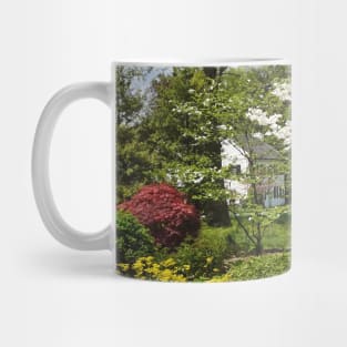 Dogwood in Front of White House Mug